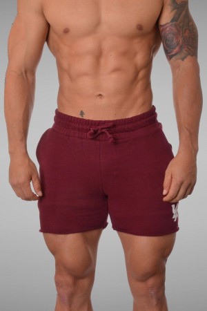 Men's YoungLA Gym 102 Bodybuilding French Terry Shorts Shorts Burgundy | HS9531-274 USA