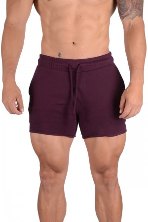 Men's YoungLA Gym 102 Bodybuilding French Terry Shorts Shorts Purple | WE9812-740 USA