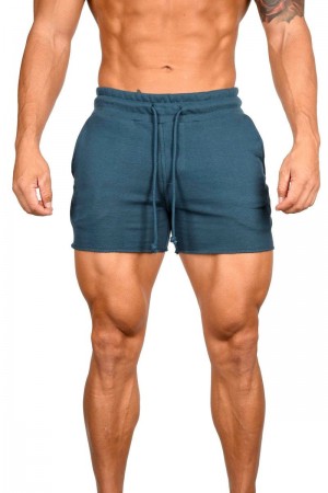 Men's YoungLA Gym 102 Bodybuilding French Terry Shorts Shorts Teal | JV9840-357 USA