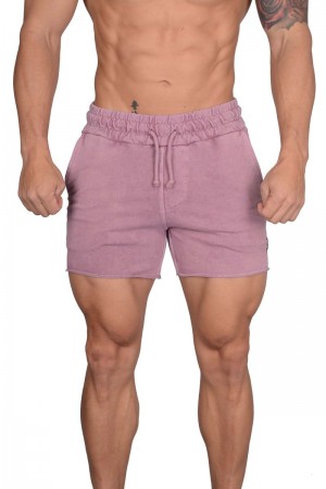 Men's YoungLA Gym 102 Bodybuilding French Terry Shorts Shorts Pink Washed | BW2543-678 USA