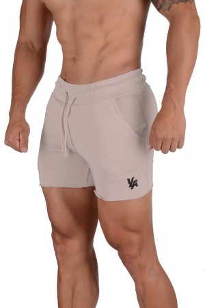 Men's YoungLA Gym 102 Bodybuilding French Terry Shorts Shorts Mushroom | FA4513-798 USA