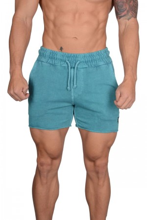 Men's YoungLA Gym 102 Bodybuilding French Terry Shorts Shorts Teal Wash | MP4230-986 USA