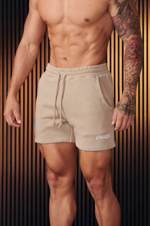 Men's YoungLA Gym 107 Chrome Shorts Shorts Tan Wash | VP8072-495 USA