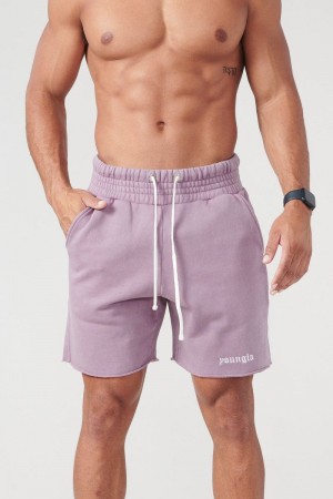 Men's YoungLA Gym 110 San Diego Terry Shorts Shorts Lavender Wash | LQ0784-912 USA