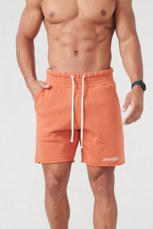 Men's YoungLA Gym 110 San Diego Terry Shorts Shorts Rusty Orange Wash | DL0853-129 USA