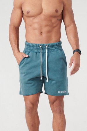 Men's YoungLA Gym 110 San Diego Terry Shorts Shorts Teal Wash | WK8914-527 USA