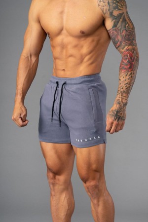 Men's YoungLA Gym 113 The Perfect Short Shorts Shorts Nardo Grey | OJ7803-926 USA