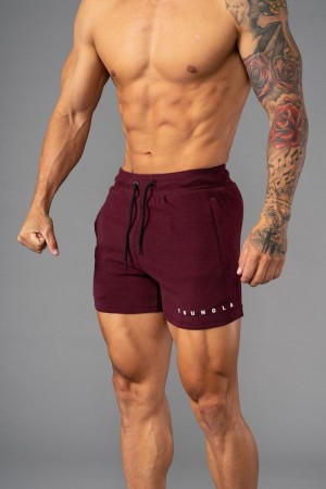 Men's YoungLA Gym 113 The Perfect Short Shorts Shorts Wine | EM7468-210 USA