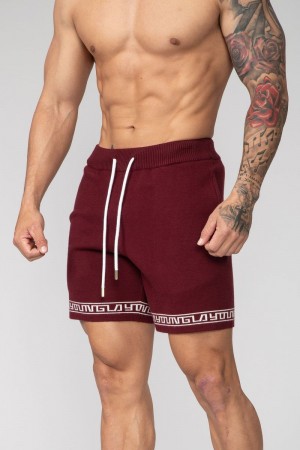 Men's YoungLA Gym 116 Hieroglyphic Knitted Shorts Shorts Burgundy | BN3925-064 USA