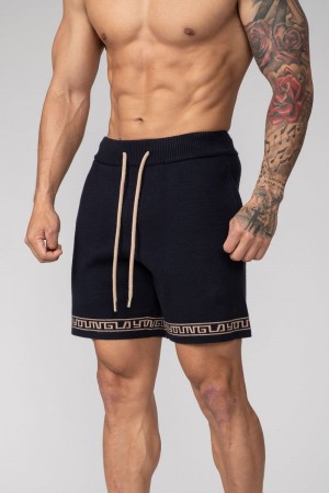 Men's YoungLA Gym 116 Hieroglyphic Knitted Shorts Shorts Navy | RZ2408-935 USA