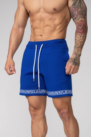 Men's YoungLA Gym 116 Hieroglyphic Knitted Shorts Shorts Royal Blue | UX1903-452 USA