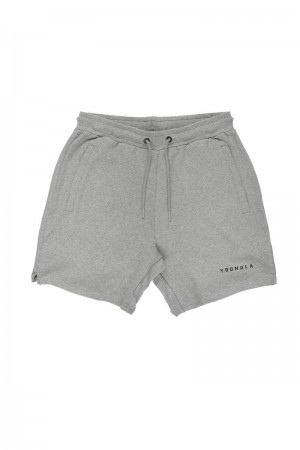 Men's YoungLA Gym 118 The Perfect Shorts Shorts Grey Heather | PT4731-608 USA