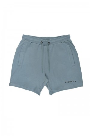 Men's YoungLA Gym 118 The Perfect Shorts Shorts Grey Blue | WD2081-356 USA