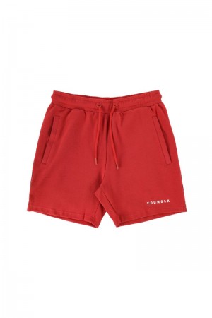 Men's YoungLA Gym 118 The Perfect Shorts Shorts Red | QU2067-359 USA