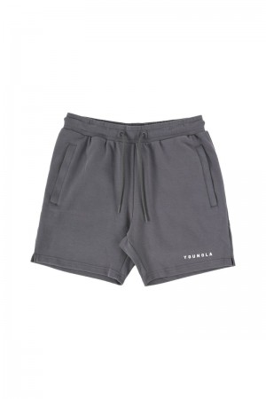 Men's YoungLA Gym 118 The Perfect Shorts Shorts Nardo Grey | NY6318-972 USA