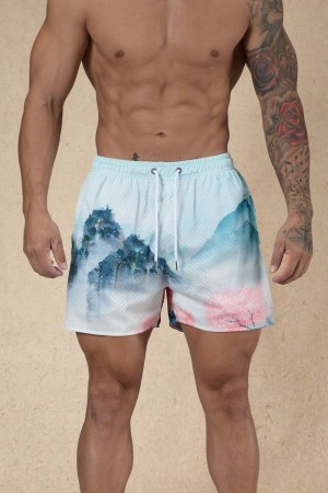 Men's YoungLA Gym 135 House Party Shorts Shorts Spring Scenery | EO1426-908 USA