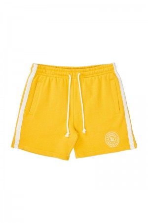 Men's YoungLA Gym 137 Golden Era Bodybuilding Shorts Shorts Yellow | LD4839-126 USA