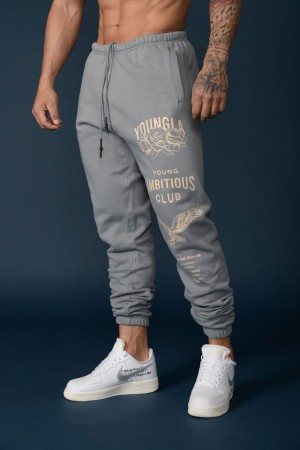 Men's YoungLA Gym 233 The Immortal Joggers Joggers Grey Washed | MB8629-054 USA