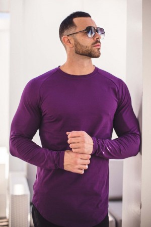 Men's YoungLA Gym 410 PERFECT RAGLAN LONG SLEEVE SHIRTS Shirts Purple | FC4576-390 USA