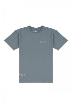 Men's YoungLA Gym 414 Signature Shirt T Shirts Grey Blue | WY2495-108 USA