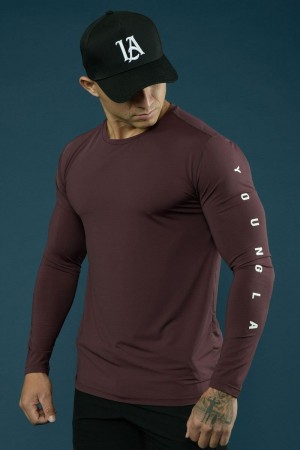 Men's YoungLA Gym 424 Zephyr Compression Long Sleeves Shirts Marooned | PK9487-621 USA