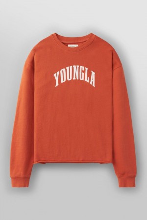 Men's YoungLA Gym 826 Uni Crewneck Shirts Orange Wash | MK8316-504 USA