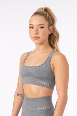 Women's YoungLA Gym W308 Seamless Sports Bra Bras Stone Grey | CG9075-231 USA