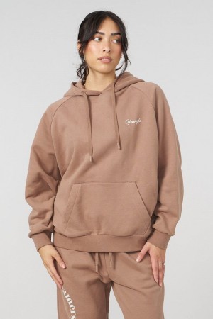 Women's YoungLA Gym W516 Revolve Hoodie Hoodies Light Brown | NF0326-974 USA