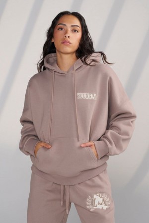 Women's YoungLA Gym W524 Teddy Hoodie Hoodies Vintage Taupe | EC9240-675 USA