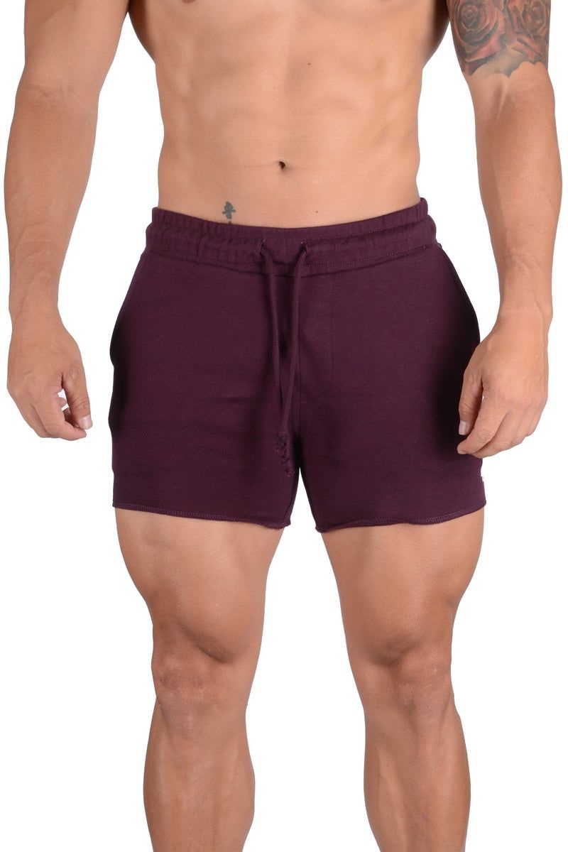 Men\'s YoungLA Gym 102 Bodybuilding French Terry Shorts Shorts Purple | WE9812-740 USA