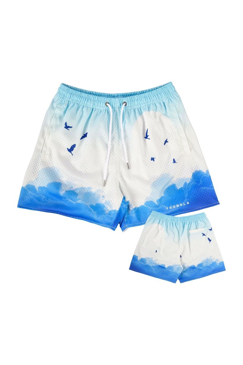 Men\'s YoungLA Gym 141 The Block Party Shorts Shorts Above the Clouds | ES4973-016 USA