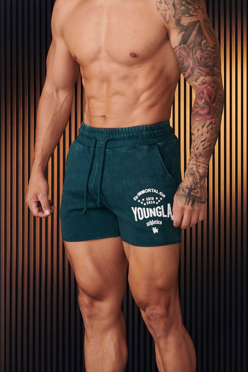 Men\'s YoungLA Gym 152 Immortal Shorts Shorts Teal Wash | PI1230-659 USA