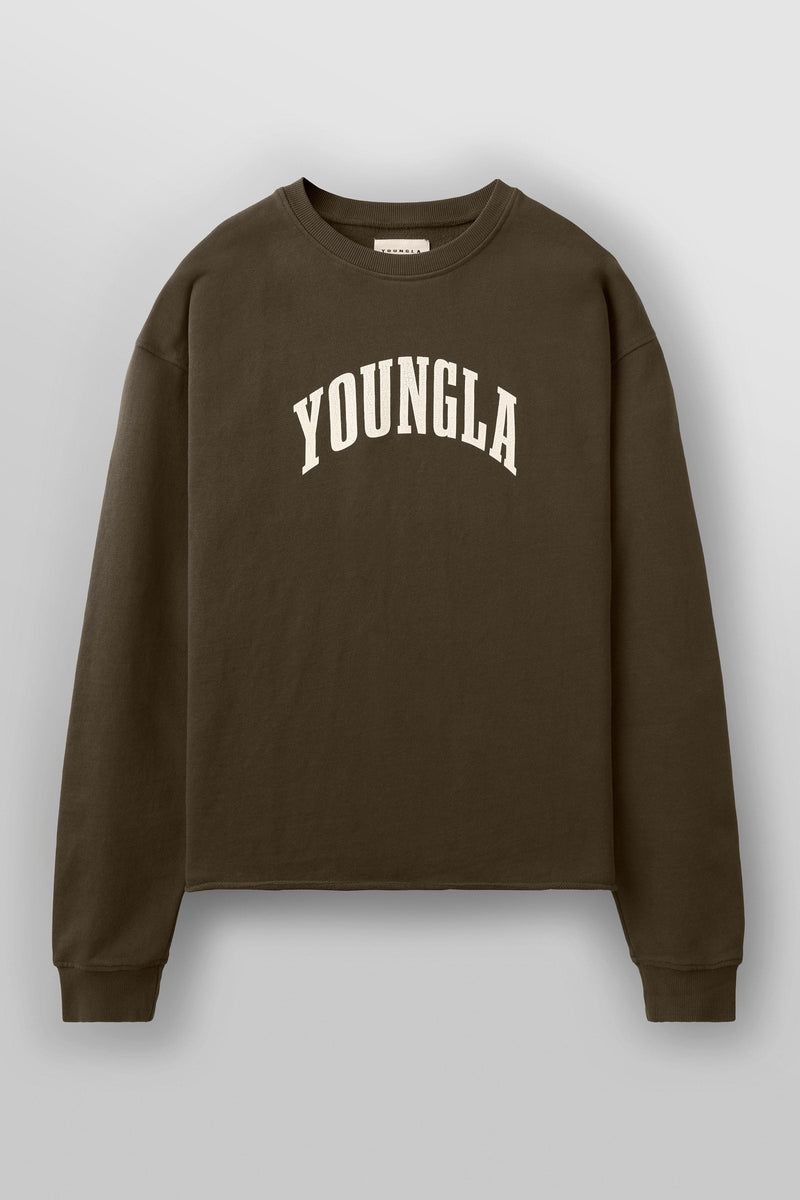 Men\'s YoungLA Gym 826 Uni Crewneck Shirts Brown Wash | EX1908-453 USA